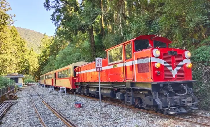 阿里山自駕行程