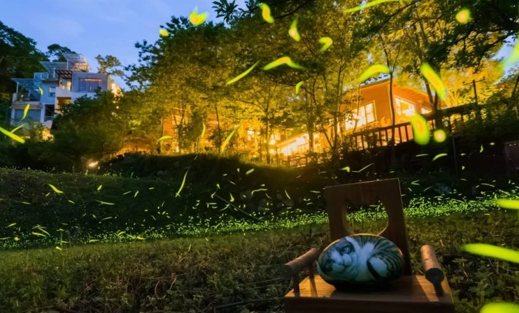 螢火蟲季節住宿