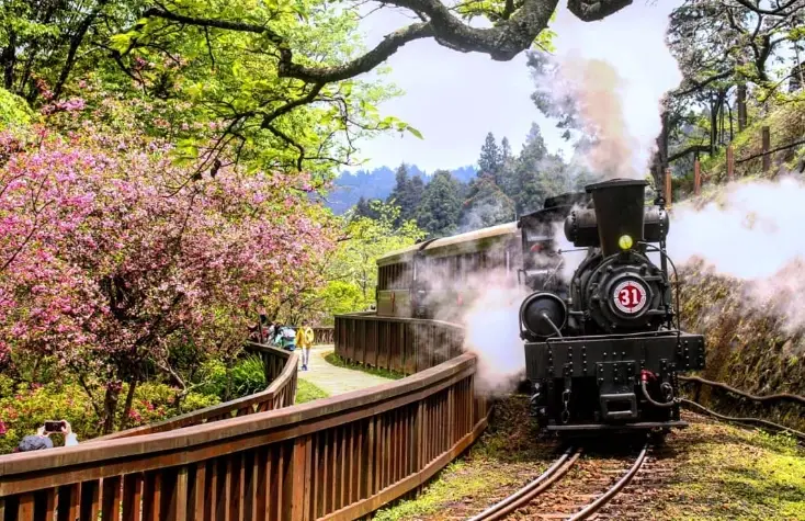 阿里山兩天一夜開車