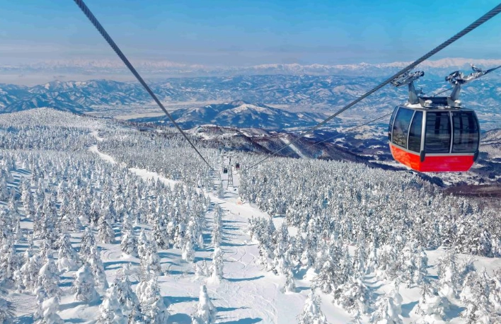 藏王樹冰一日遊