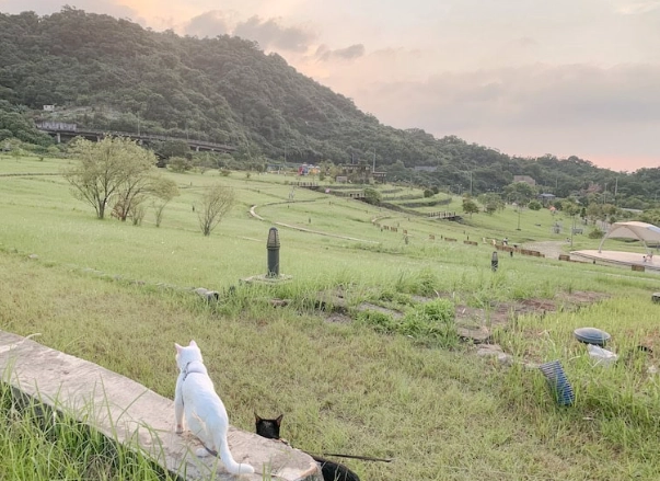 寵物友善餐廳 台北