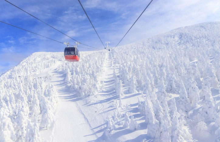 藏王樹冰一日遊