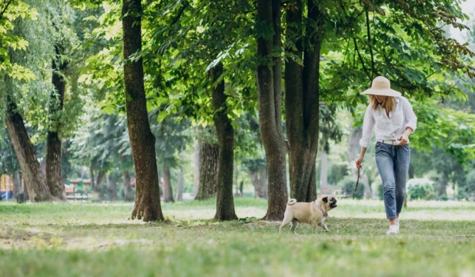 雙北寵物友善景點