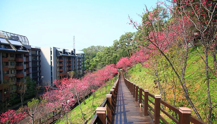 桃園景點一日遊