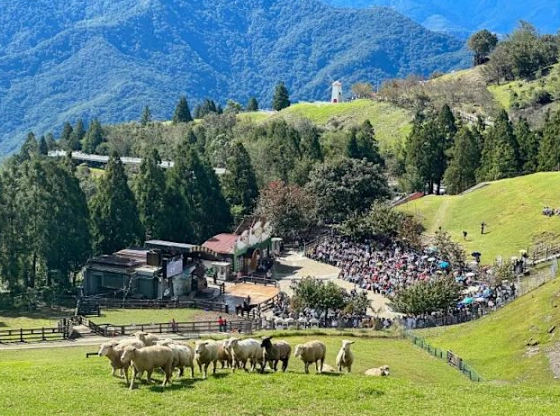 清境 車泊 點 清境 車泊 點