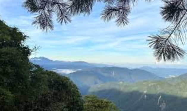 清境農場 露營車 停車 清境農場 露營車 停車