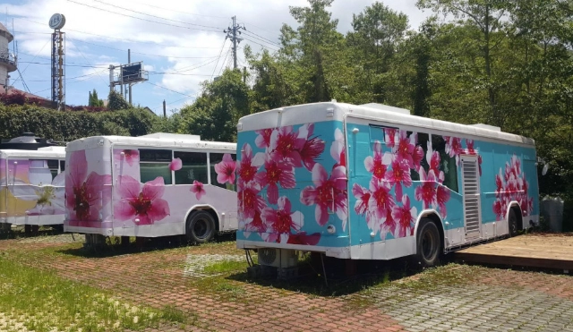 清境農場 露營車 停車 清境農場 露營車 停車