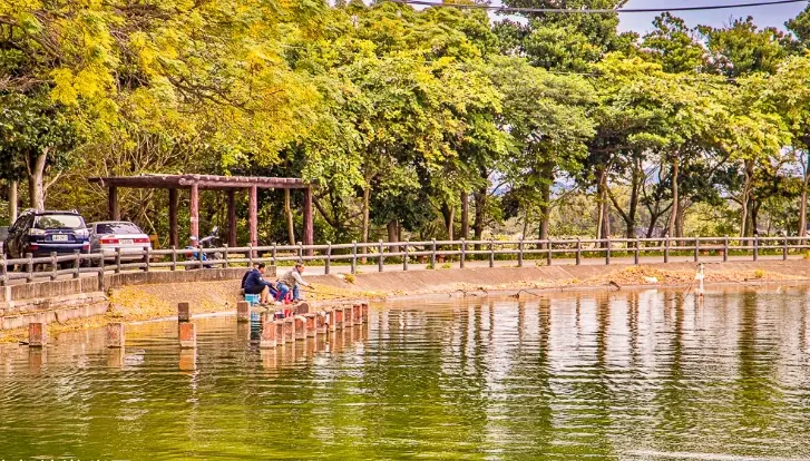 桃園高評分景點