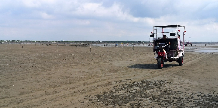 王功潮間帶體驗