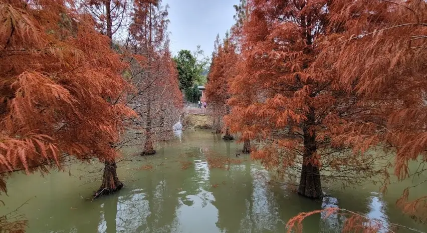 苗栗小眾景點 苗栗小眾景點