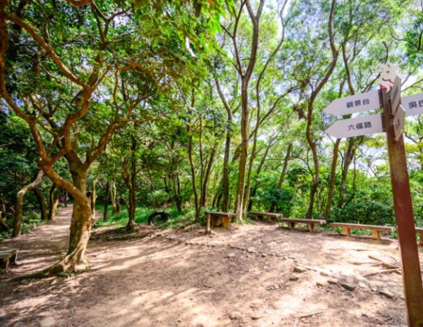 桃園步道親子遊