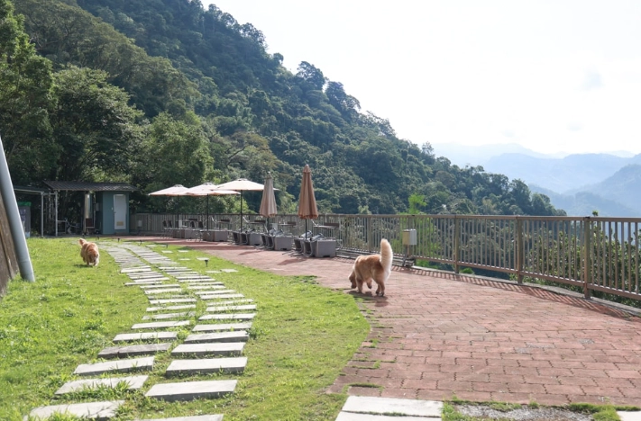 阿里山寵物住宿推薦