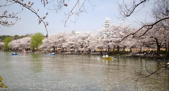 上野動物園 套票