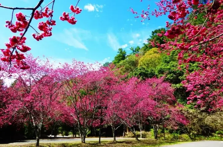 台灣中部免費景點