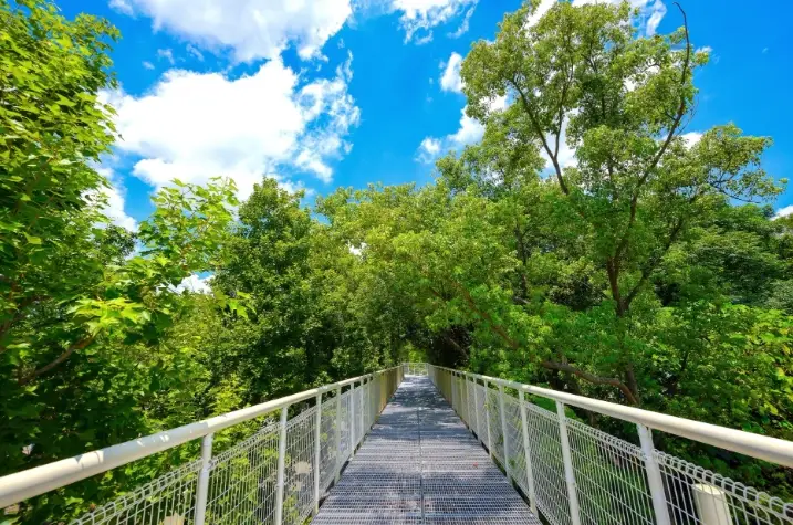 彰化一日遊景點