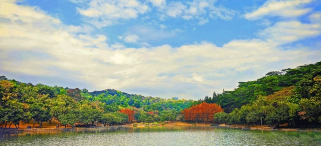 蓮花山公園怎麼去