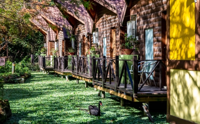 南投親子農場推薦