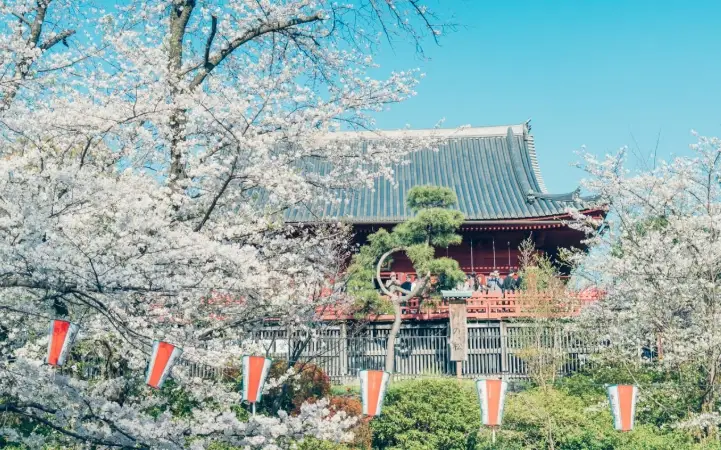 上野恩賜公園票券資訊