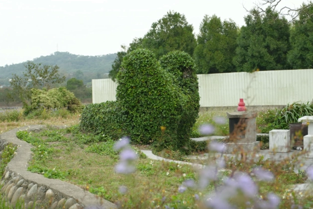 阿里山交通攻略