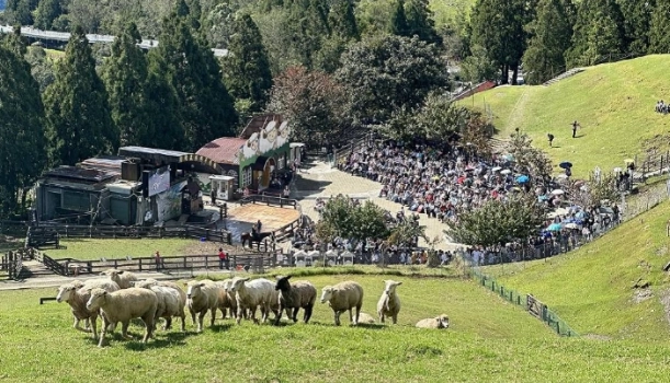 清境農場 免費 停車 清境農場 免費 停車