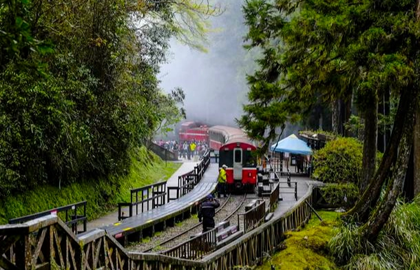 阿里山交通攻略