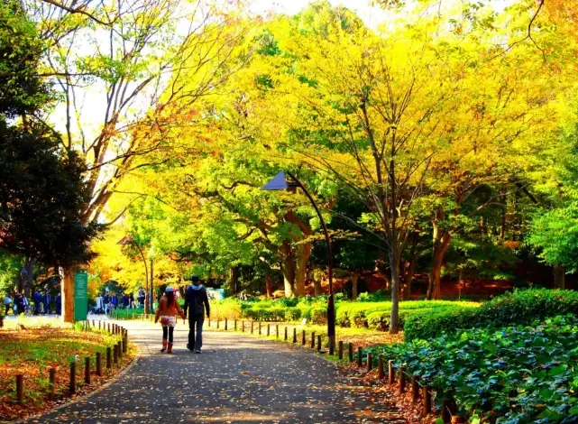 東京秋天旅行 東京秋天旅行