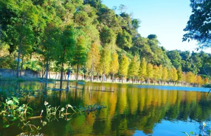 桃園旅遊景點 桃園旅遊景點