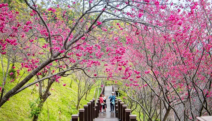 桃園景點一日遊
