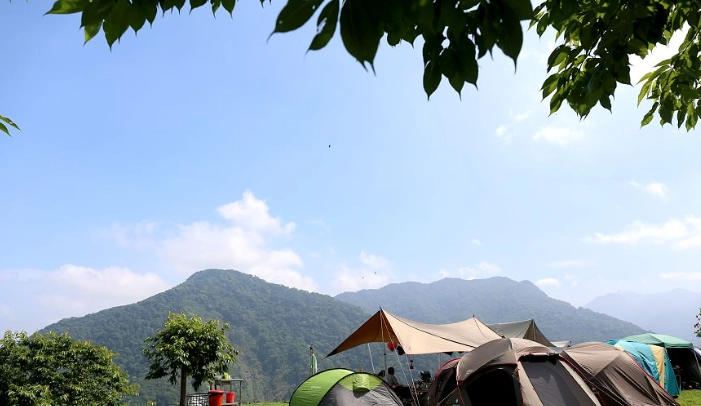 新竹露營地