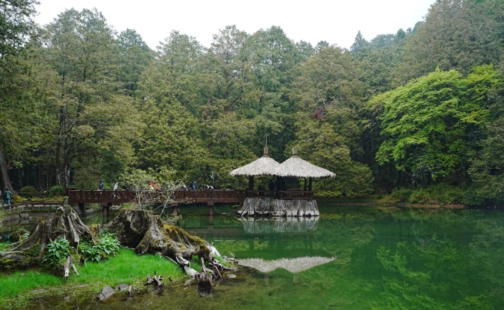 阿里山住宿推薦
