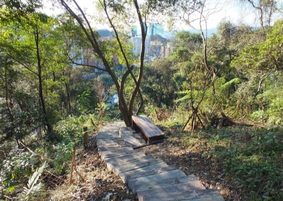 初英山交通資訊