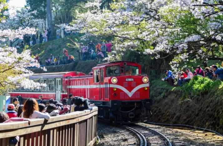 台中一日遊景點