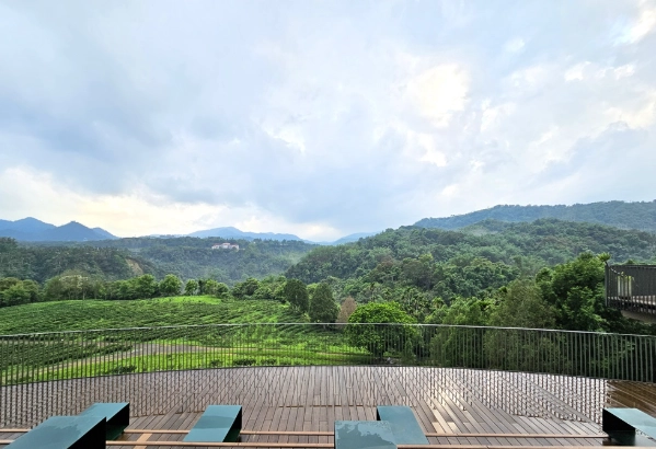 南投看夜景咖啡廳