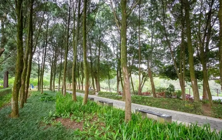 桃園復興鄉新景點