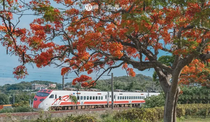 苗栗一日遊行程