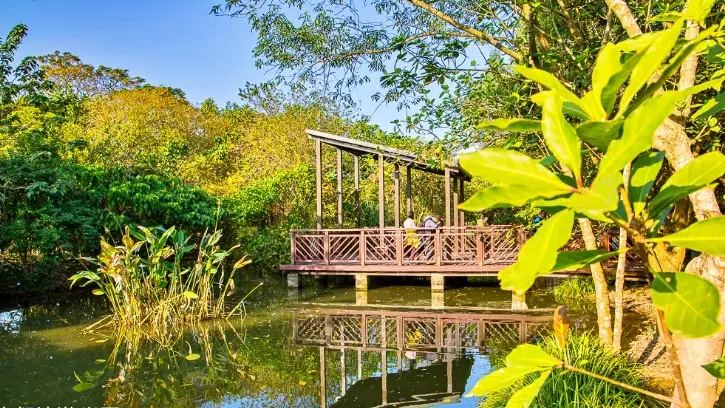 桃園高評分景點