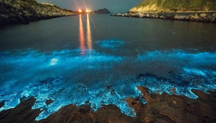 馬祖藍眼淚 馬祖藍眼淚