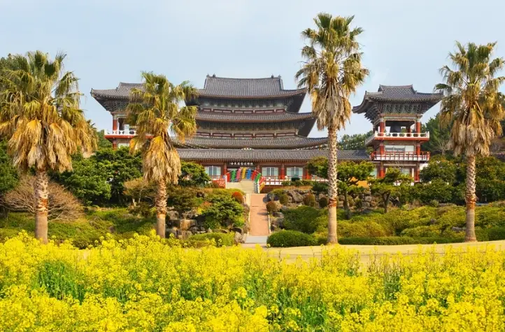 濟州島自由行跟團比較