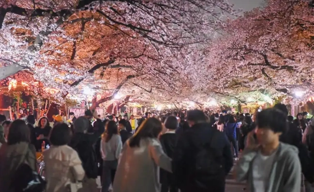 上野 夜間 景點
