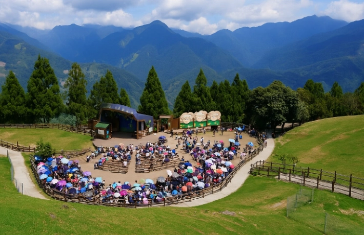 清境晚上可以幹嘛