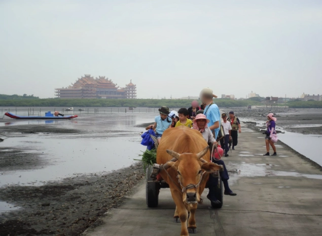 芳苑海牛體驗 芳苑海牛體驗