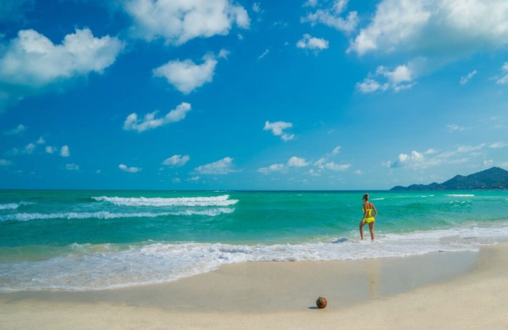 蘇美島自由行 蘇美島自由行