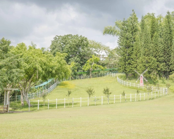 嘉義農場交通 嘉義農場交通