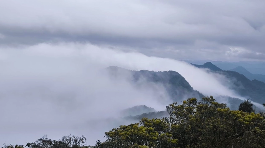 台北天際線觀景 台北天際線觀景