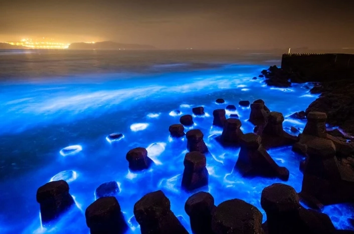 台南藍眼淚觀賞