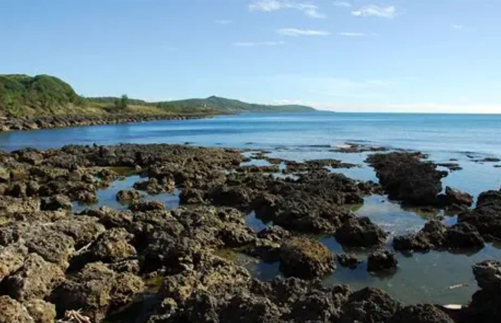 屏東一日遊開車