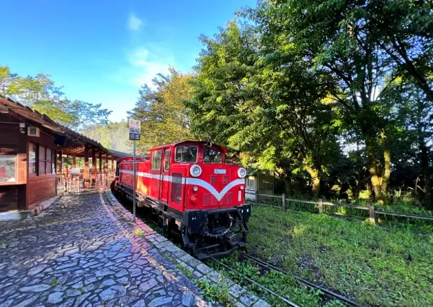 阿里山一日遊攻略