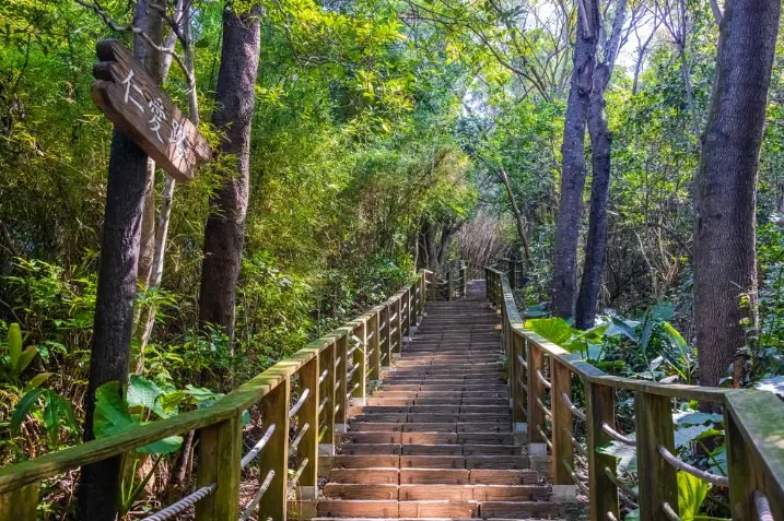 桃園登山步道