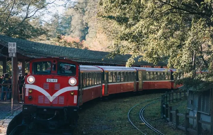 寵物友善阿里山行程