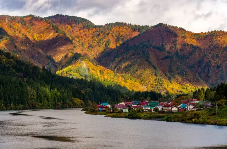 大志集落攝影 大志集落攝影